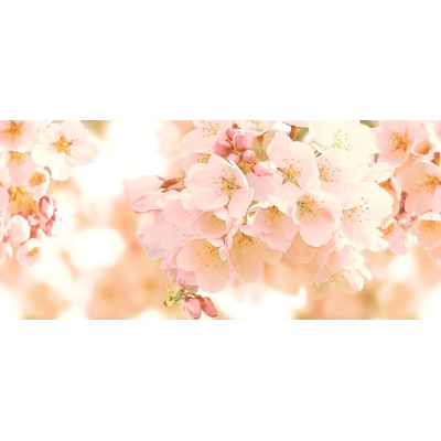 CERSANIT CW2H454DT Панно Cherry 400х880 многоцветный